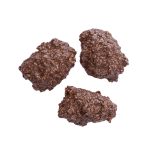 Coco Bañado