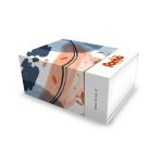 Box Forno-01